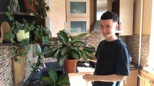 ВЛОГ Будни Цветоголика » Полив, Обзор Комнатных Растений