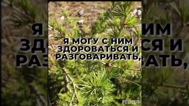 Это жизнь...