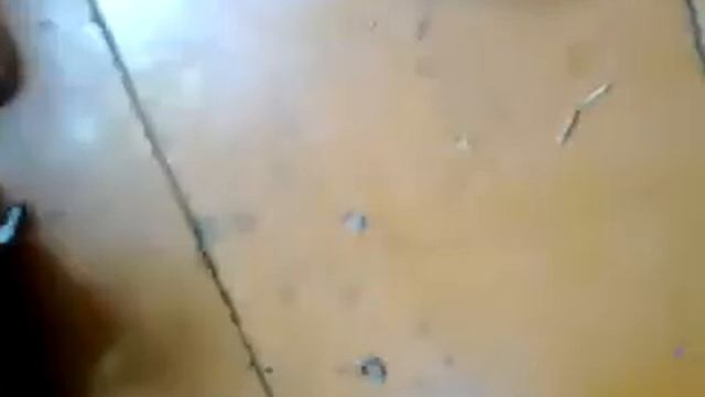 зборка и розборка кпп планета смотреть онлайн