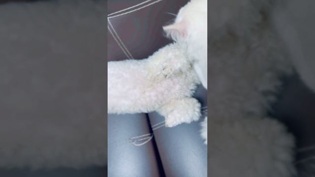 Как хорошо , что мы есть друг у друга ❤️