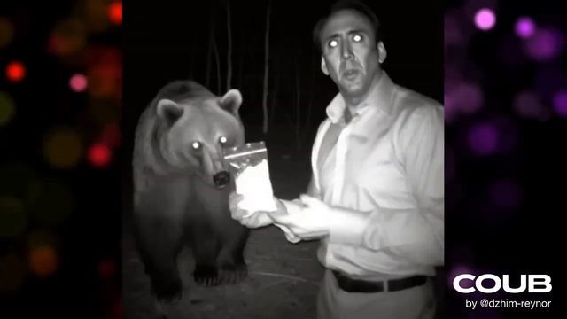 Невероятная жизнь Николаса Кейджа ч 2 смотреть онлайн