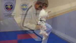 Taekwon-Do Biomechanics by Master Rudolf Kang