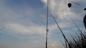 Ловля леща и сома фидером на речке самарка.