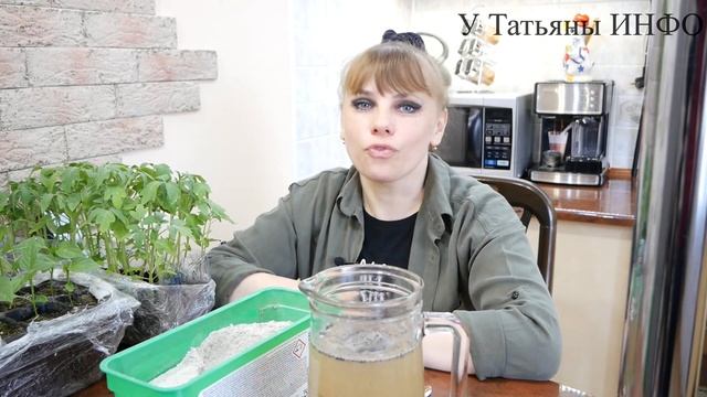 От ЭТОЙ подкормки РАССАДА: ТОМАТОВ, ПЕРЦЕВ и БАКЛАЖАНОВ аж ПИЩИТ !!!