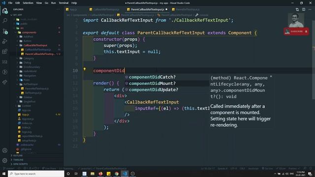 25. Access the child Dom element in the parent Component using callback Refs in ReactJs | React. смотреть онлайн