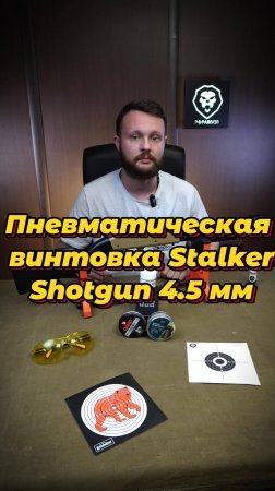 Пневматическая винтовка Stalker Shotgun 4.5 м