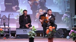 FLAMENCO EN TIERRA FIRME P-0007 14MAR2023 · ONDA BARBATE