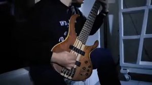 Александр Пушной COVER - Белая Ночь