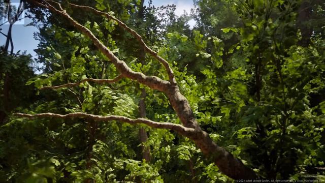 Ultra Realistic Forest Biome - Unreal Engine 5 - RTX 3090 - 4K смотреть онлайн