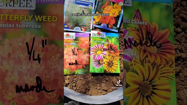 Best seeds to use when gardening