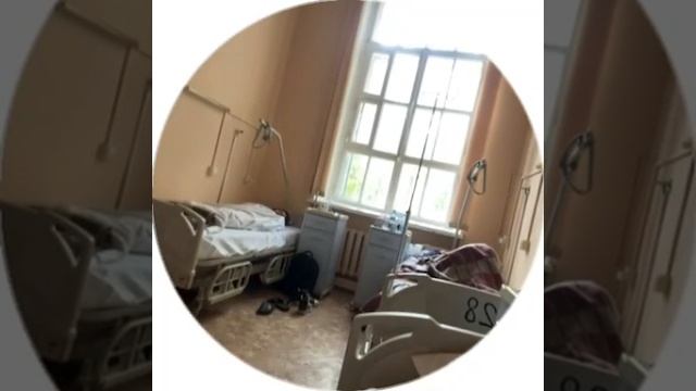 полыгалова лиза