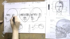 Пропорции головы. Часть 2. Поэтапное рисование портрета