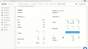Что такое seowork: о платформе, откуда берутся данные и как с ними работать?