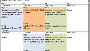 Тема №3. Планирование подготовки для циклических видов спорта,  2019. Часть 1. -А. Вертышев