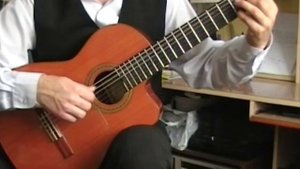 Канцона, Владимир Вавилов