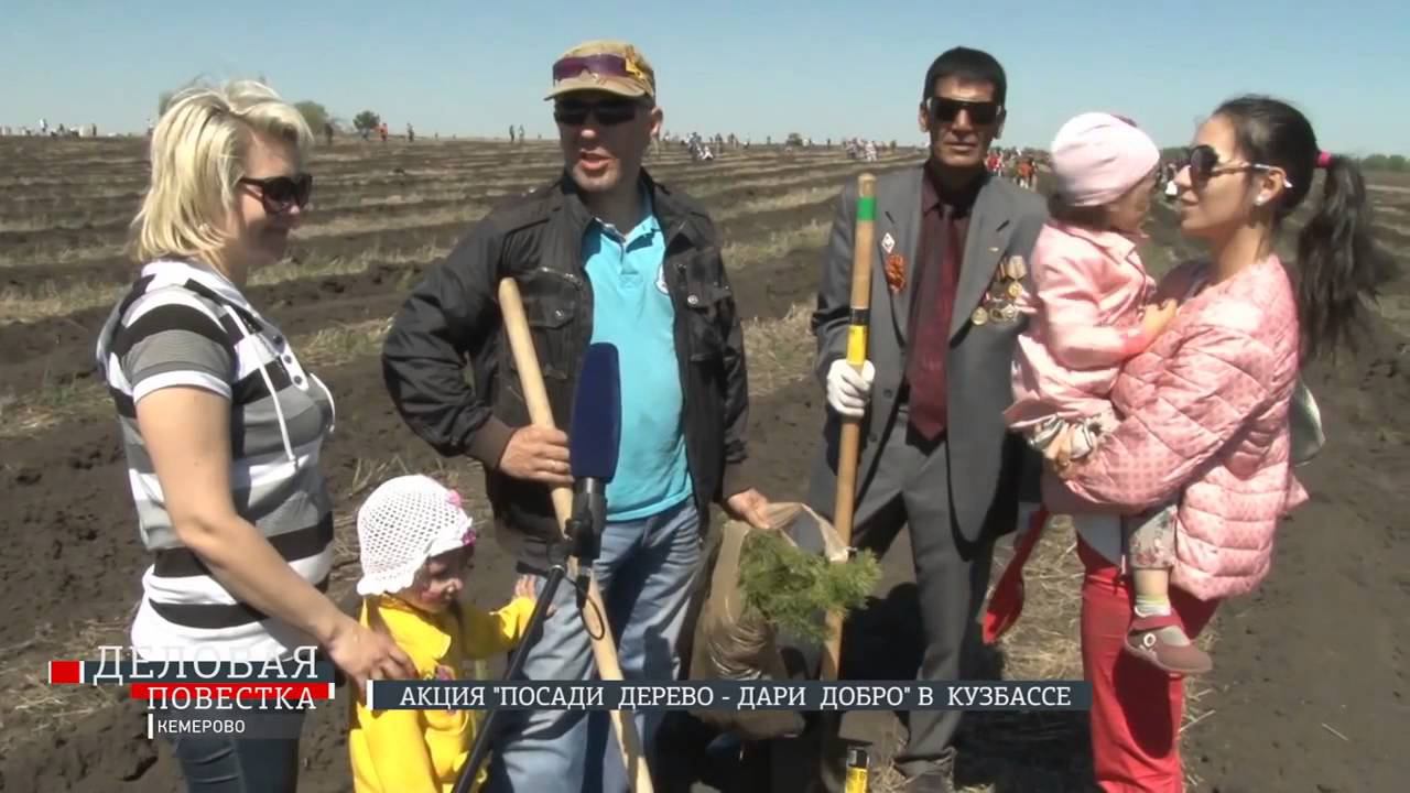 Дари Добро - 50000 сосен в Кемерово