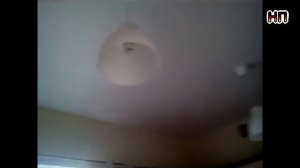 Две люстры на сатиновом потолке в кухне