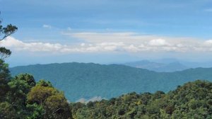 Армянский дудук - музыка сердца, Armenian duduk - music of the heart