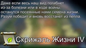 Тайны Spore Fan | Артефакты Свитки (Часть 2) где тайны Spore Taifun?