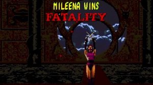 Mortal Kombat 2 (Sega Genesis) All Fatalities