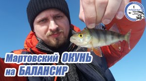 Мартовский ОКУНЬ на БАЛАНСИР. Весенняя рыбалка со льда.