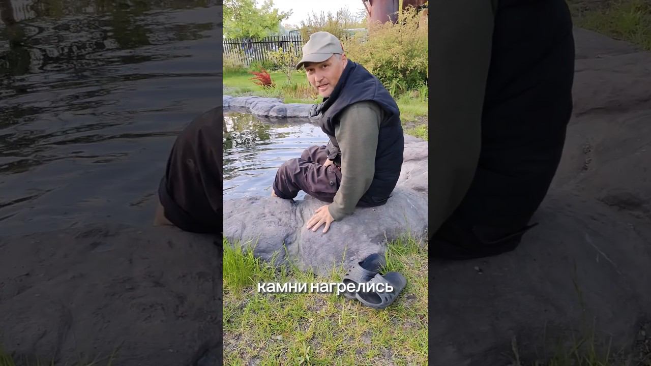 Пруд на даче для отдыха и релакса #шорт #ландшафт #пруд #пруднадаче #diy #дача