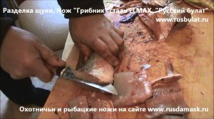 Русский булат. Разделка щуки. Нож "Грибник". Сталь ELMAX