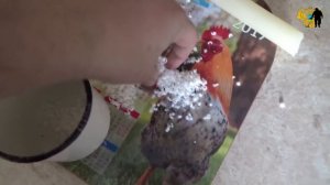 Консервация! Как правильно и чем сохранить монеты.