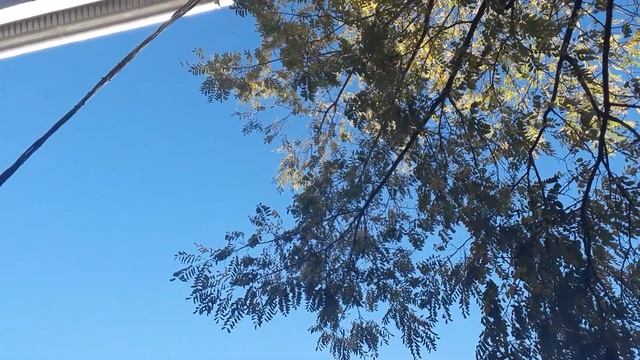 Как выйти замуж за порядочного человека.Как найти мужчину для брака. Что делать если я не замужем. смотреть онлайн