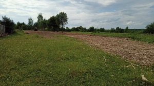 Расчистка участка мульчером.