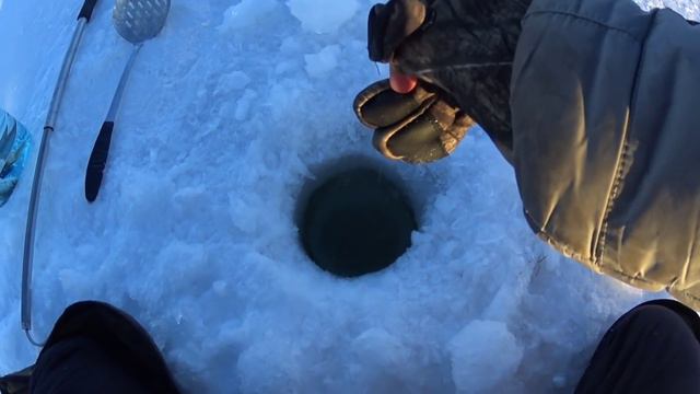 Ловля КРУПНЫХ щук на ЖЕРЛИЦЫ! Как такое может быть? Зимняя рыбалка на жерлицы. смотреть онлайн