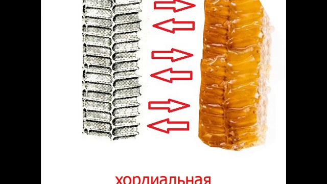 как выбрать медогонку смотреть онлайн