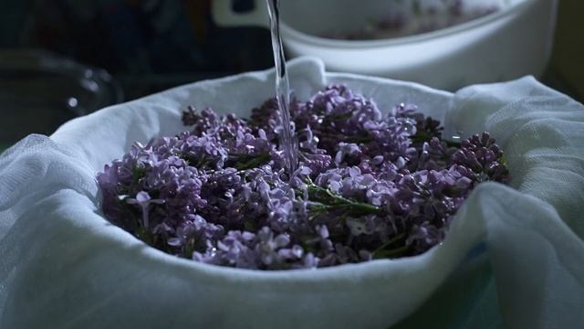 Духи из сирени. Рецепт приготовления в домашних условиях на воде | Сиреневый фестиваль - 2023