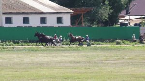 30.07.2022г.Абакан Приз Сорренто для лошадей 4-х лет и старше Рысистых пород 2400м