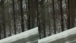 REKKA OJASSA ROVANIEMI NELOSTIE 28.1.2017 3D VIDEO