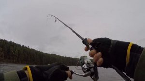 Проводка для пассивного окуня