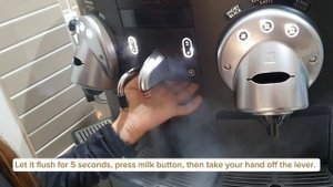 Nespresso Gemini CS220 milk frother troubleshooting - Pod Machine Hire Sydney