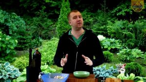 Окрошка на квасе (или с квасом)