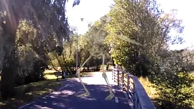 Танцующий скелет от FXGuru смотреть онлайн