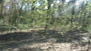 Приехали в "ЗАБРОШЕННЫЙ ЛАГЕРЬ" оказывается нет...