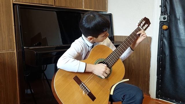 обр. А. Васильева "Цыганская венгерка" смотреть онлайн