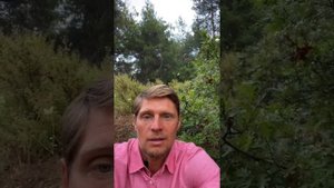 ГДЕ ВЗЯТЬ ЭНЕРГИЮ. Проекторы и генераторы