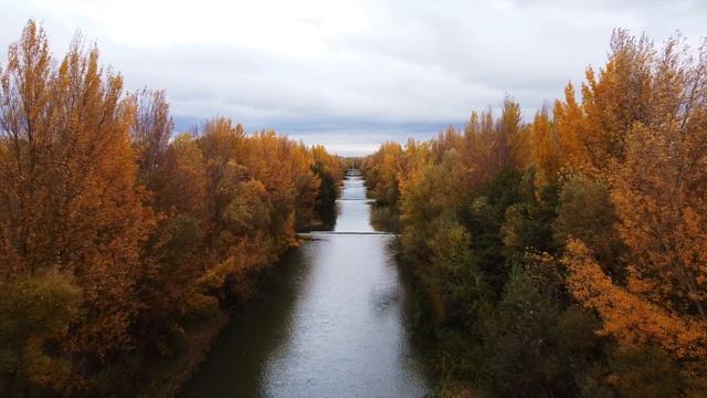 Раслабляющая музыка очищающая нервную систему 432 Гц, Relaxing music смотреть онлайн