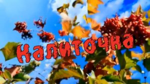 Николай Берег-Калиточка.mp4