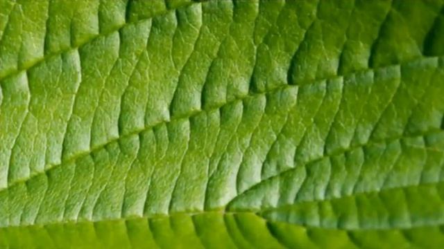 Красивая музыка и фото смотреть онлайн