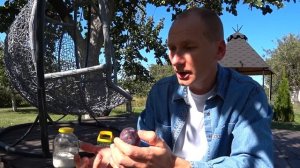 Слизни  - пришельцы -  не дайте им перезимовать !