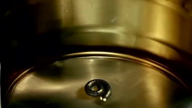 Букашки.07.Сороконожки. смотреть онлайн