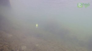 Обзор воблера Tsuyoki Jass 90F игра под водой