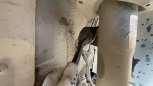 Скрип стойки стабилизатора Octavia a7