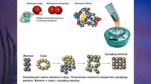 §7 "Вещества и явления в окружающем мире", Биология 5 класс, Сивоглазов, Плешаков.mp4